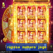 raposa numero jogo do bicho